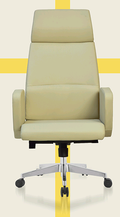 Style Personality Revolving Chair