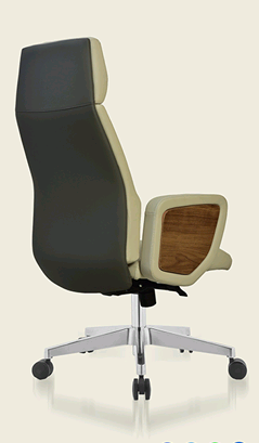 Style Personality Revolving Chair